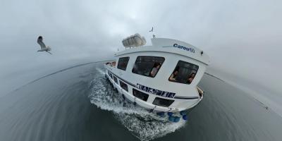 Прикрепленное изображение: изображение_viber_2022-07-14_14-29-40-299.jpg